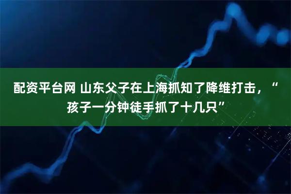 配资平台网 山东父子在上海抓知了降维打击，“孩子一分钟徒手抓了十几只”